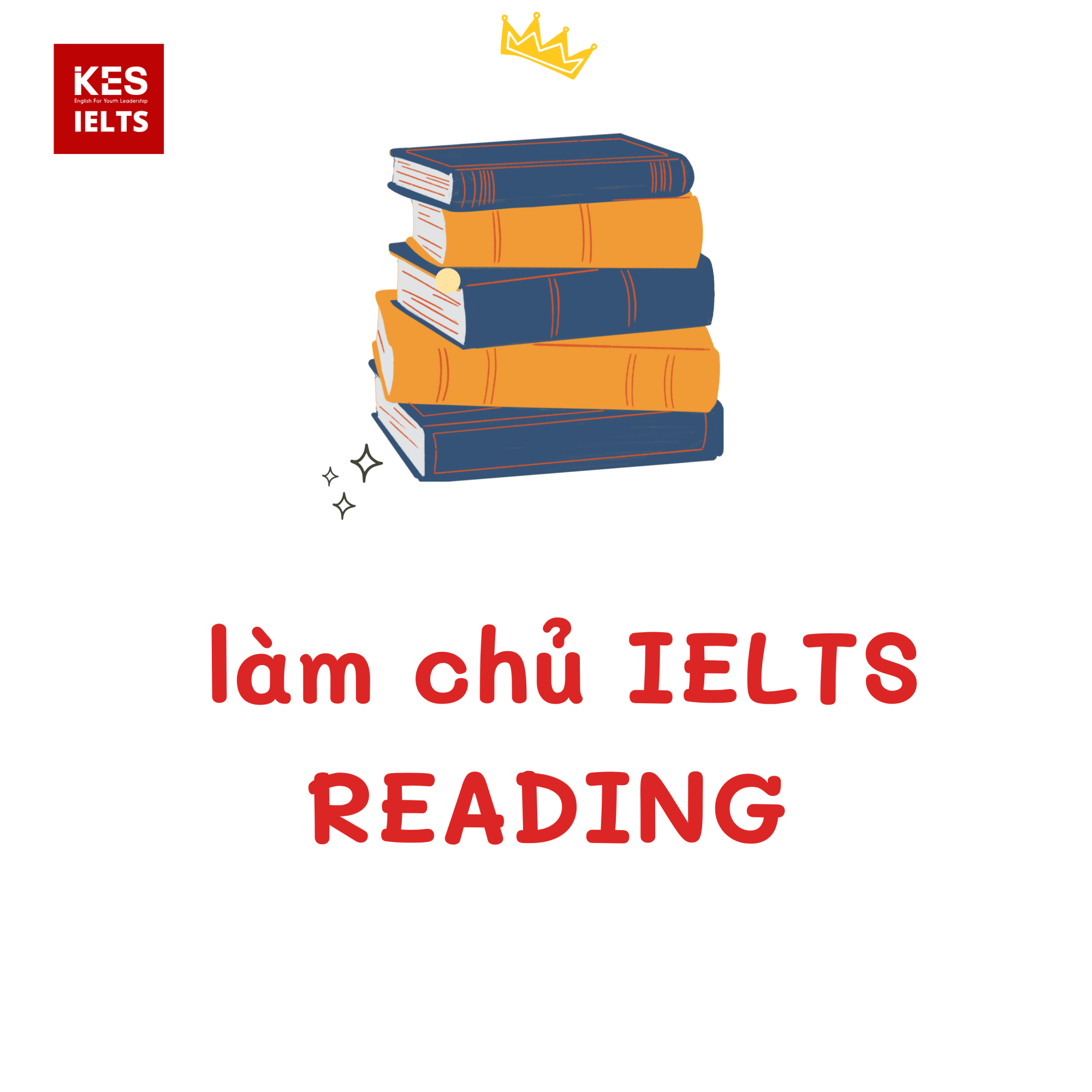 Bí kíp luyện Reading IELTS hiệu quả cho người mới bắt đầu